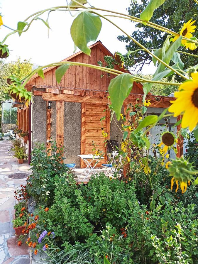 Jermatun Guest House ディリジャン エクステリア 写真